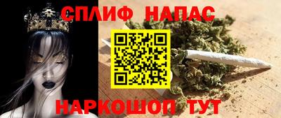 сатива Тверь