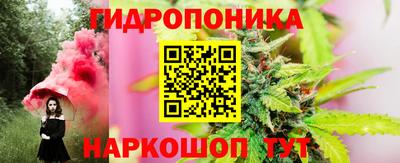 сатива Тверь