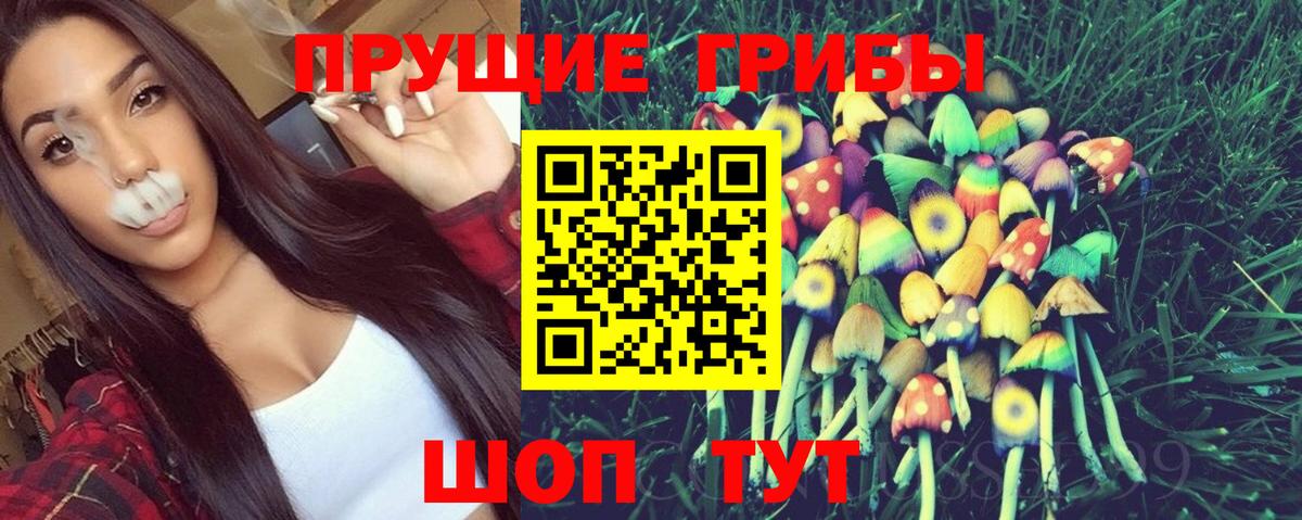 Псилоцибиновые грибы ЛСД Пенза